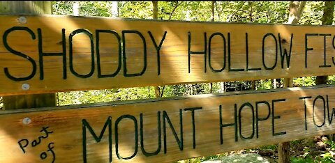 Shoddy Hollow Fishing Hole. Mt. Hope, N..Y. Survey Diaries #2