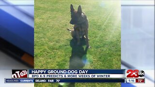 Happy Ground-Dog Day from BPD