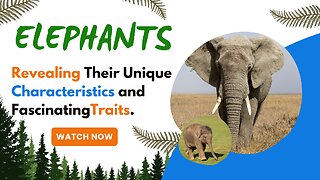 Elephants, Revealing Their Unique Characteristics and FascinatingTraits.