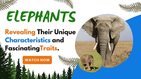 Elephants, Revealing Their Unique Characteristics and FascinatingTraits.