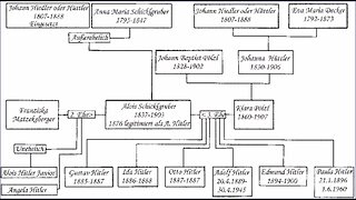 Was Hitler Part-Jewish ? Need DNA. North Africa link.