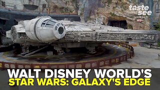 Star Wars: Galaxy’s Edge opens at Walt Disney World | Taste and See Tampa Bay