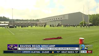 Ravens Begin Mini Camp