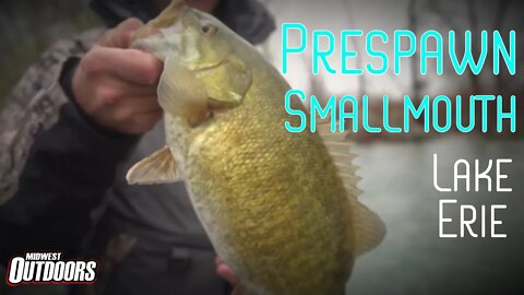 Lake Erie Prespawn Smallmouth Fishing