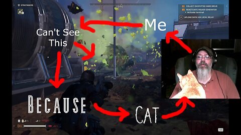 Cat Difficulty in Helldivers 2