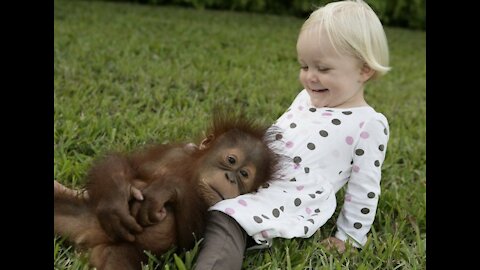Funny Baby And Animals Moments - Funny Fails Vide