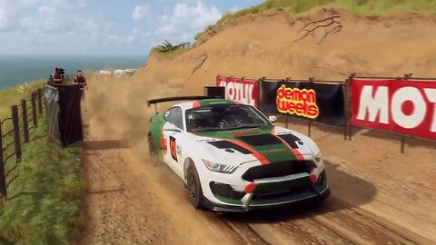 DiRT Rally 2 - Replay - Ford Mustang GT4 at Waimarama Point Reverse