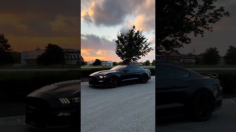 Come and watch the sunset with me🐍 #ford #mustangsociety #fordperformance #fordracing #shorts