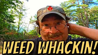 🐟Fishin Camp Life🏕️ - Weed Whackin!