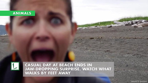 Casual Day at Beach Ends in Jaw-Dropping Surprise. Watch What Walks by Feet Away