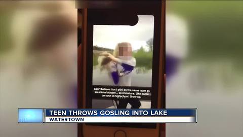 Wisconsin DNR investigating viral video of teen throwing gosling into pond