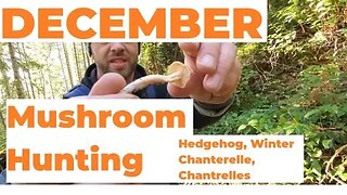 December Mushroom Hunting, Late season finds