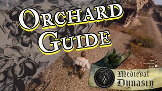 Medieval Dynasty Orchard Guide