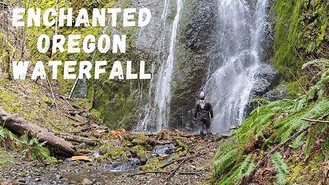 Enchanted Mossy Oregon Forest Leads to Beautiful Waterfall | Nick Eaton Falls | Pacific Northwest