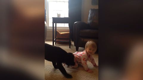 Puppy Plays Tug Of War With Baby