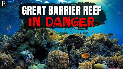 Great Barrier Reef Sees Warmest Water in 400 Years, Scientists Say | FPNews | N-Now