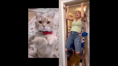 Funny video compilation