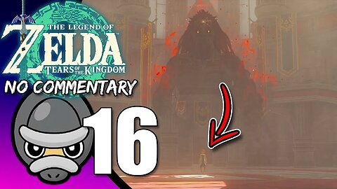 Part 16 // [No Commentary] Zelda: Tears of the Kingdom - Switch Gameplay