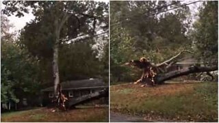 Katt ødelegger hjem i Nord-Carolina