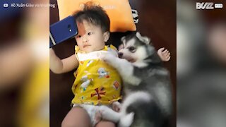 Bimba e cagnolino guardano video abbracciati