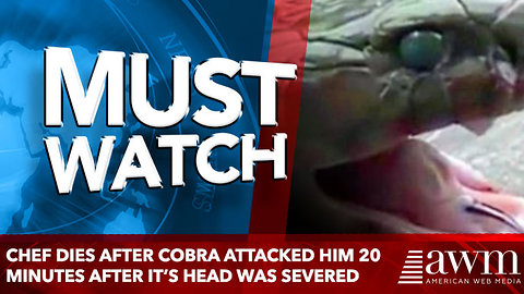 Chef Dies After Cobra Attacked Him 20 Minutes After It’s Head Was Severed