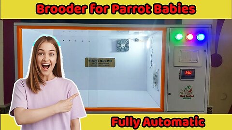 Raising Parrot Babies Made Easy with Our Brooder | Brooder For Parrot Babies
