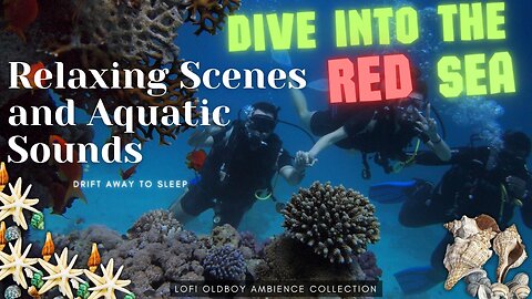 Relaxing Red Sea: stress relief, coral reef video, underwater, Underwater ambience for the mind