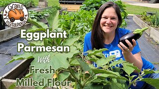 Have You Ever Seen An Eggplant Plant??? Let's Make Eggplant Parmesan With Fresh Milled Flour!