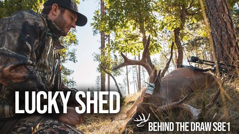 EARLY Seasons Buck & A MOUNTAIN LION?! - "Lucky Shed"
