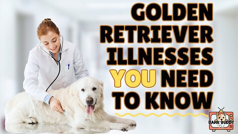 Woof & Wellness: Golden Retriever illnesses YOU need to know