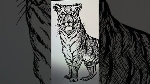 I Want to Sketch ✍🏼 a Tiger 🐅- Shorts Ideas 💡