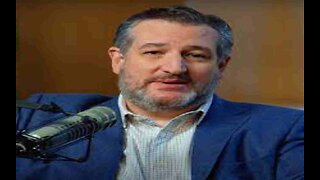 Ted Cruz Has a Theory Why Dems Might Be ‘Blocking’ Epstein Flight Logs