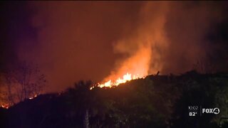 SWFL Mulch company says recent fires set on purpose