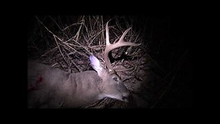 Kansas public land DIY whitetail deer hunt
