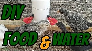 Cheap and Easy DIY Chicken Feeder and Auto Waterer