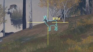 WhiteTail Deer Hunt 2 Revontuli Coast COTW