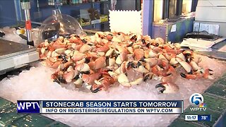 Stone crab season begins Tuesday in Florida