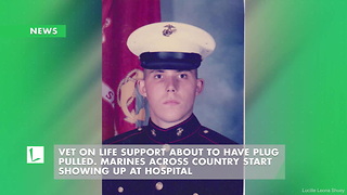 Vet on Life Support About to Have Plug Pulled. Marines Across Country Start Showing Up at Hospital