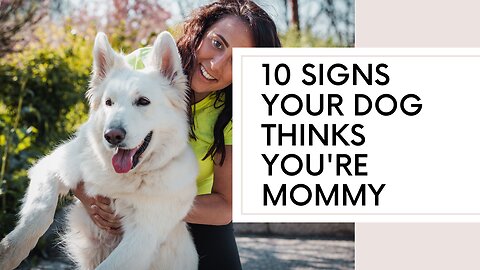 10 Signs Your Dog Considers You Its Mother