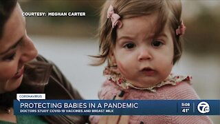 Protecting babies in a pandemic