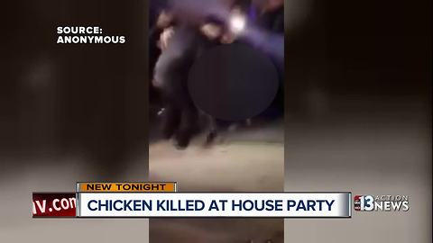 Video shows guy killing chicken at Las Vegas party