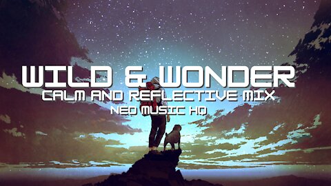 WILD AND WONDER - Calm & Reflective Mix | Hopeful & Inspiring Music Mix