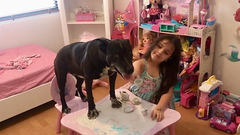Little girl throws tea party for her doggy