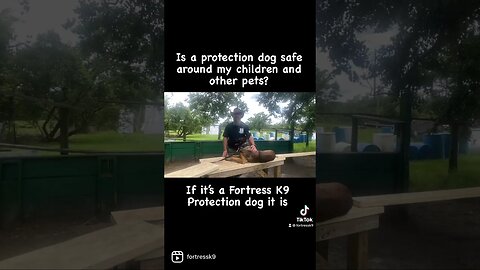 Are Protection Dogs safe?