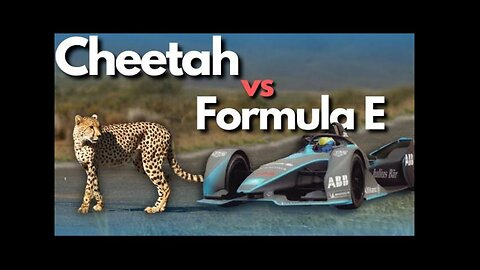 Formula E car Vs cheetah