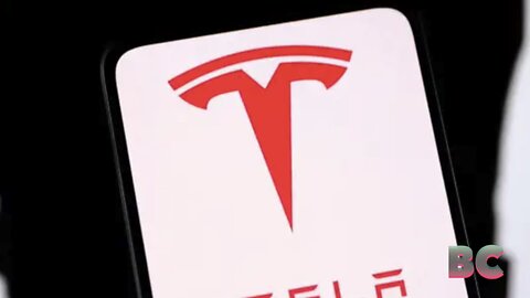 Tesla lost $77 billion in market cap after China sales slowed and its Germany factory was attacked