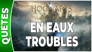 Hogwarts Legacy : l'Héritage de Poudlard - EN EAUX TROUBLES - Annexe 26