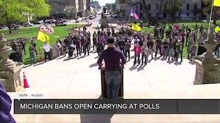 Michigan bans open carry of firearms in polling places on Election Day
