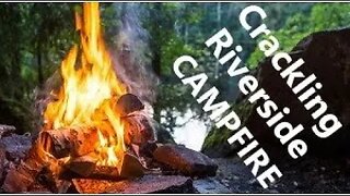 Cozy Riverside Crackling Campfire & Nature Sounds for Sleeping Focusing Relaxing Meditating Working