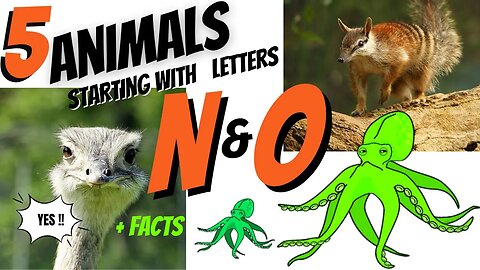 5 Animals & Facts starting with letters N & O. Alphabet.